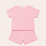 STRIPE shirt pink